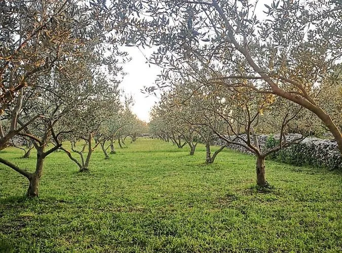 Casa de hóspedes Peace