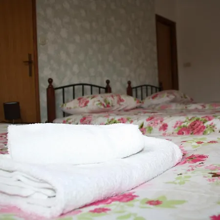 Guest house Peace Drinovci