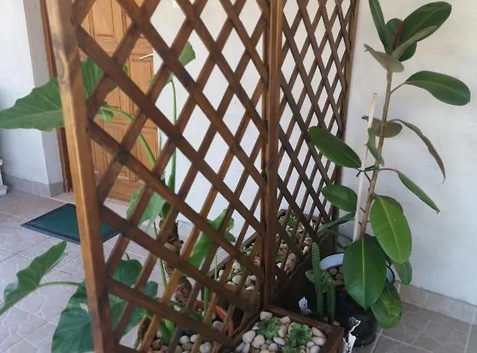 Guest house Peace Drinovci